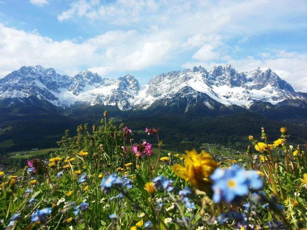 Luxuschalet Happy Home Tyrol Ellmau Kültér fotó